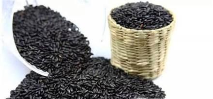 如何分辨黑米的真假