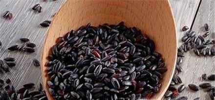 如何分辨黑米的真假