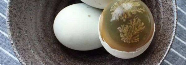 皮蛋可以和虾一起吃吗