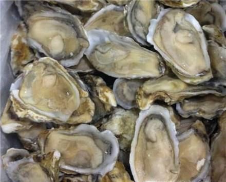 冰冻生蚝怎么处理