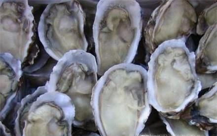 冰冻生蚝怎么处理