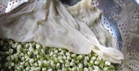 在家怎么生绿豆芽
