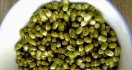 在家怎么生绿豆芽