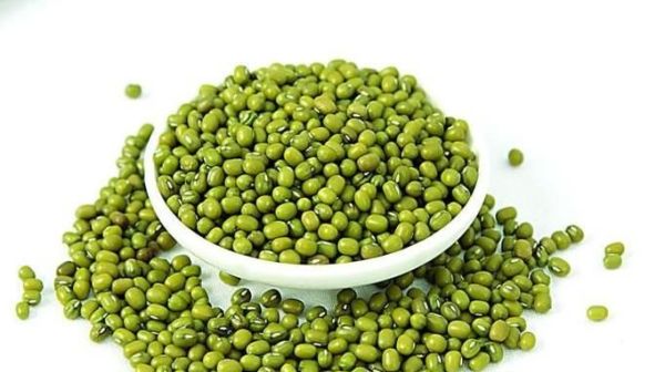 在家怎么生绿豆芽