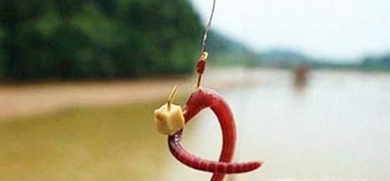 怎样钓野生鲫鱼