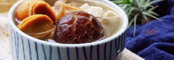 鸡肉可以炖什么汤