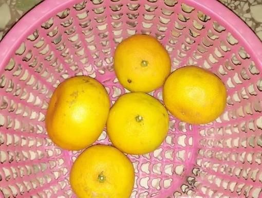 橘子该如何保存？食用有什么好处与禁忌？