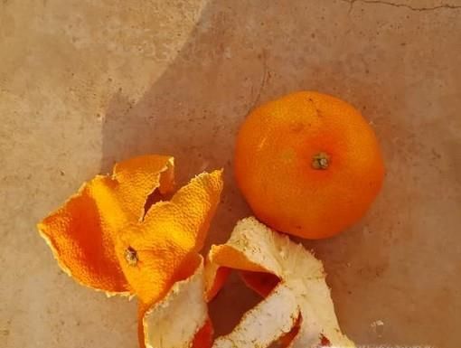 橘子该如何保存？食用有什么好处与禁忌？