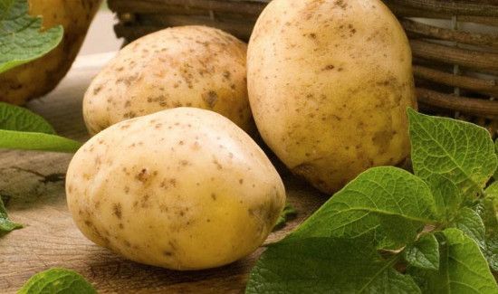 狗肉可以和土豆一起吃吗