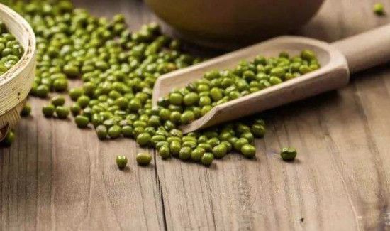 狗肉可以和绿豆一起吃吗