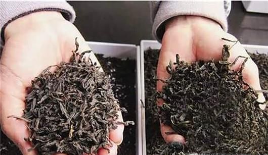 如何辨别茶叶是否含有添加剂？选购健康茶叶指南