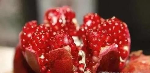 几种补气的食物