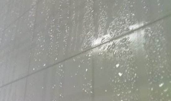 房间潮湿有虫子怎么驱除