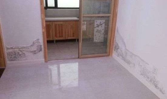 房间潮湿有异味怎么去除