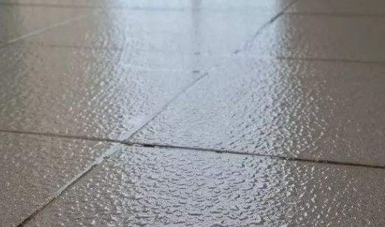 房间潮湿有虫子怎么驱除