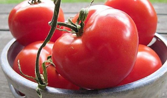 虾可以和番茄一起吃吗