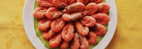 虾不能和什么一起吃