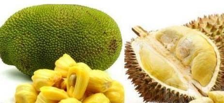 榴莲和菠萝蜜的区别