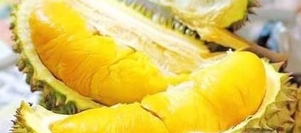 榴莲和菠萝蜜的区别