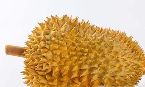 榴莲和菠萝蜜的区别