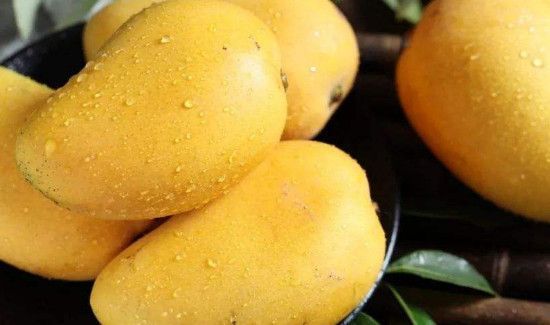 菠萝可以和芒果一起吃吗