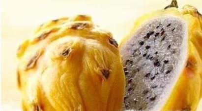 怪异水果大扫盲 奇葩水果：科普贴