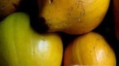 怪异水果大扫盲 奇葩水果：科普贴