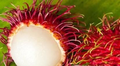 怪异水果大扫盲 奇葩水果：科普贴