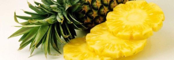 菠萝不能和什么一起吃