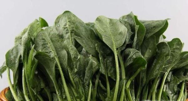 怎么瘦肌肉型腿