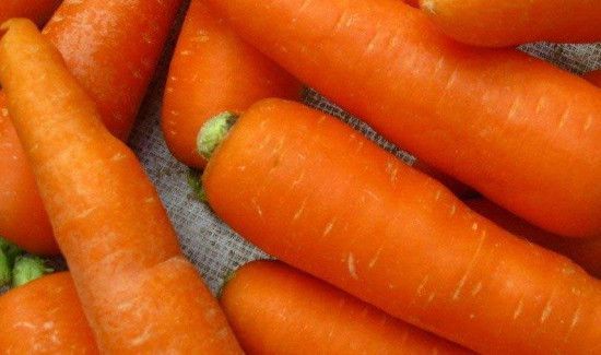 兔肉可以和胡萝卜一起吃吗