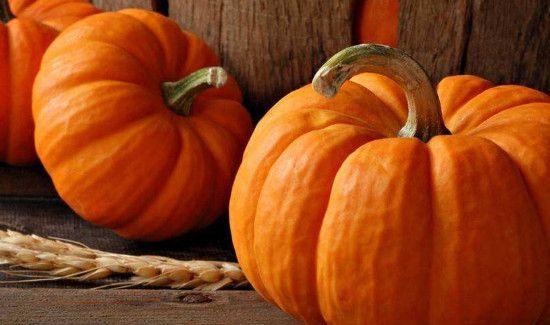 兔肉可以和南瓜一起吃吗