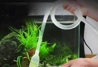 如何清洗家里的大型鱼缸并换水