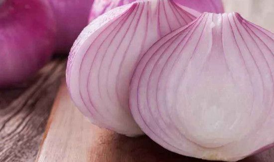 兔肉可以和洋葱一起吃吗