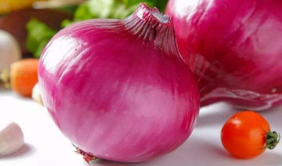 兔肉可以和洋葱一起吃吗