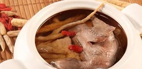 煲鸽子汤用老鸽还是乳鸽好