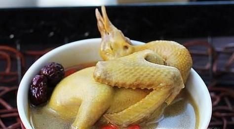 煲鸽子汤用老鸽还是乳鸽好