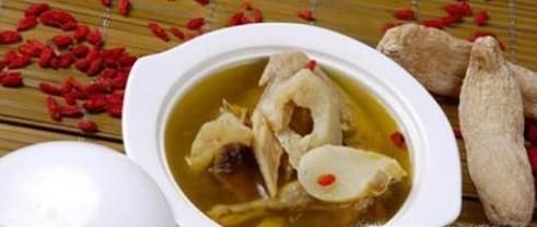 煲鸽子汤用老鸽还是乳鸽好