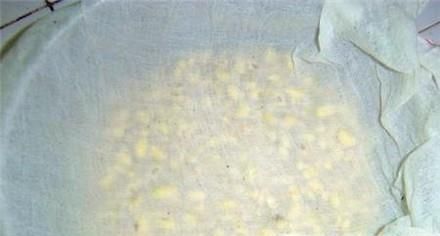 如何将黄豆做成豆芽