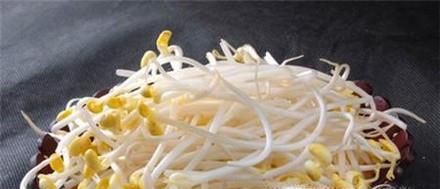 如何将黄豆做成豆芽