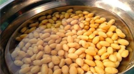 如何将黄豆做成豆芽