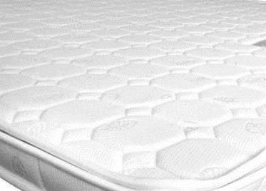 山棕和椰棕的区别 山棕和椰棕哪个好