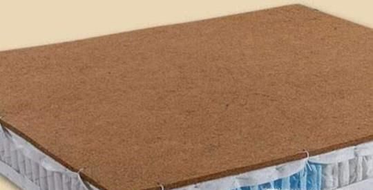 山棕和椰棕的区别 山棕和椰棕哪个好