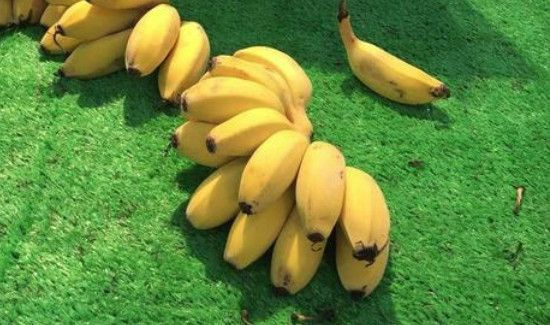 榴莲可以和香蕉一起吃吗