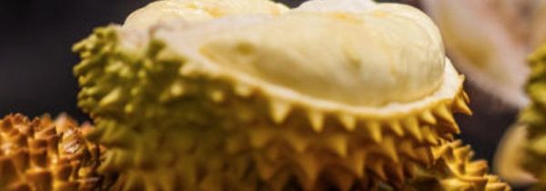 榴莲可以和海鲜一起吃吗