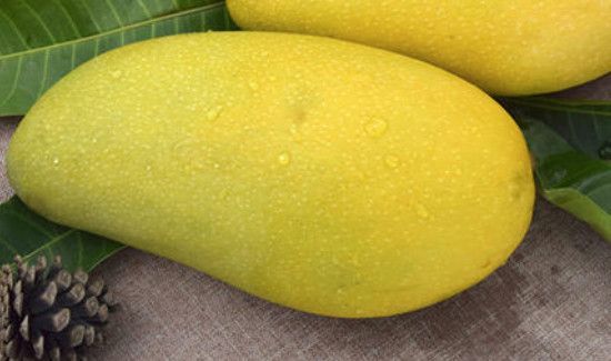 芒果可以和香蕉一起吃吗