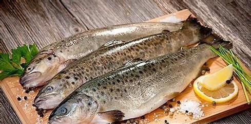 如何把新鲜鱼保鲜