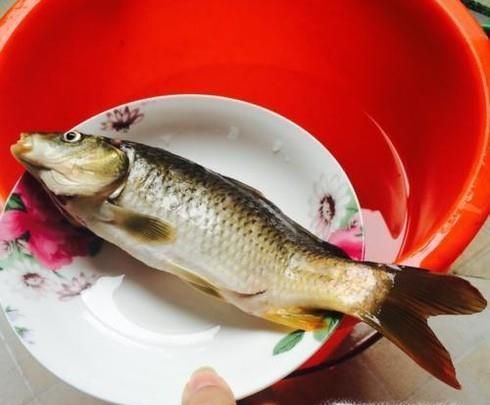 如何把新鲜鱼保鲜