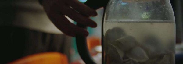 电烧水壶可以煮饺子吗