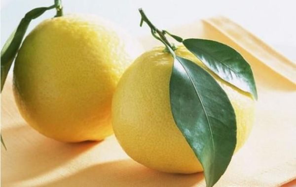 红心柚和白心柚的区别是什么？吃柚子有哪些禁忌